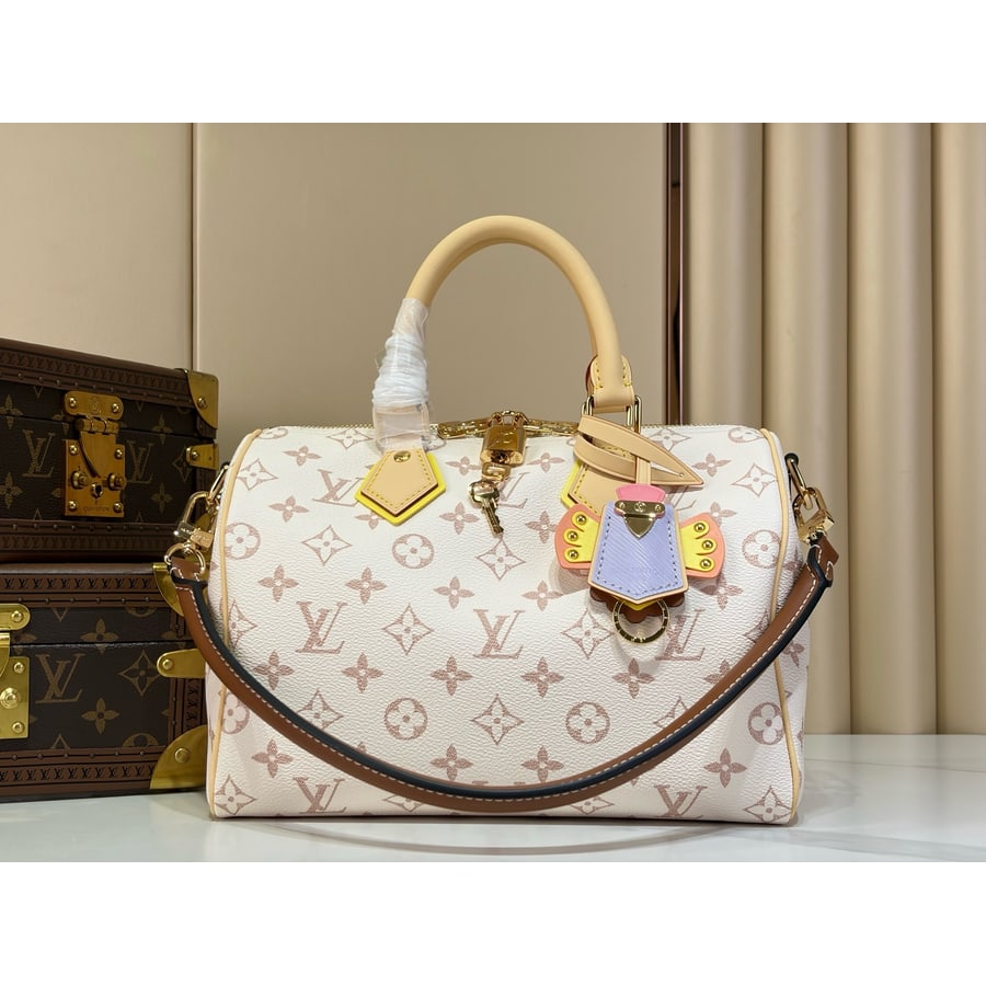 Louis Vuitton Speedy 25 reference, front view