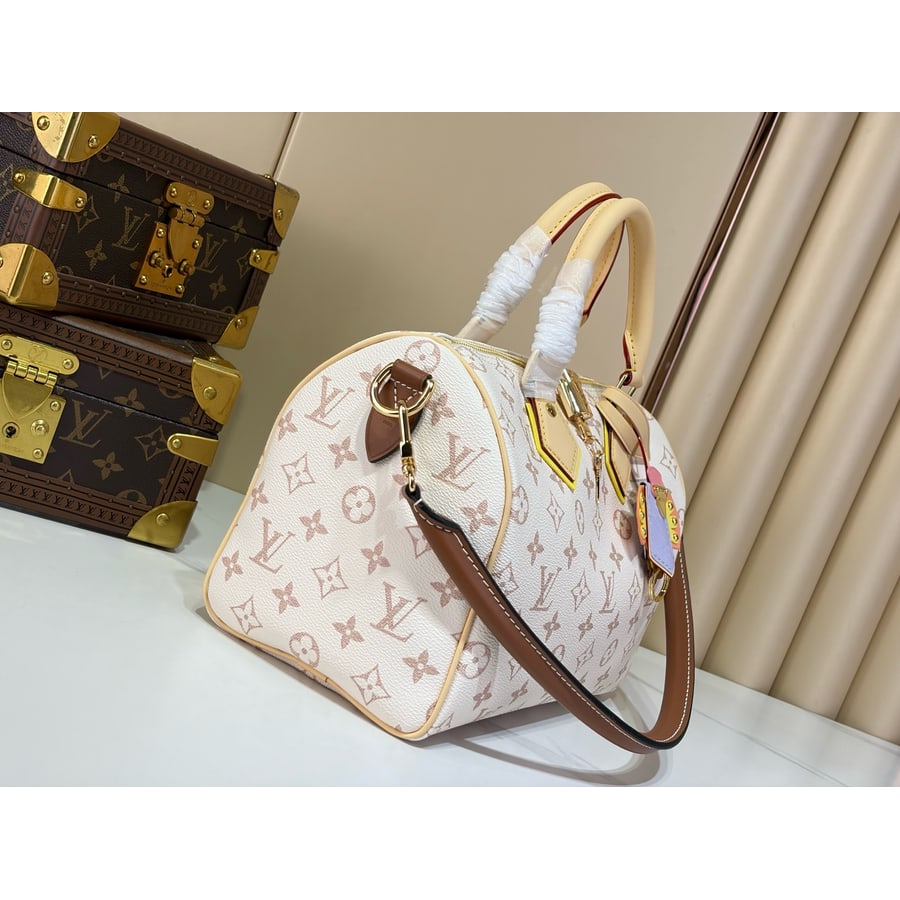 Louis Vuitton Speedy 25 reference, side view