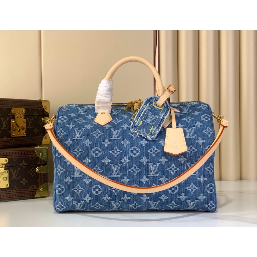 Louis Vuitton Speedy Soft 30 reference, front view